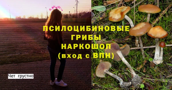 бошки Вязники