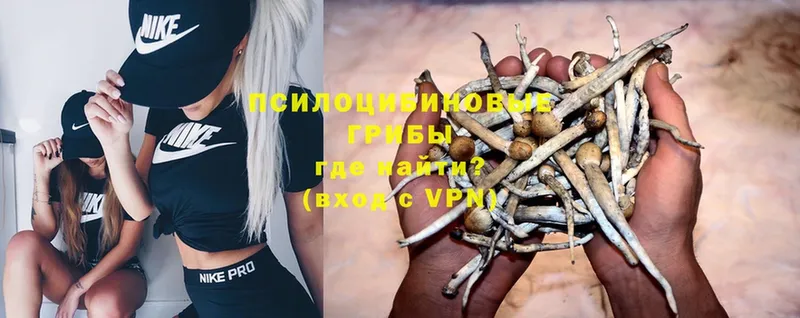 MEGA вход  Кстово  Псилоцибиновые грибы Magic Shrooms 